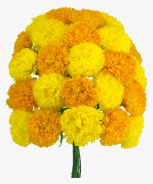 Flower Of The Dead - Day Of The Dead Flowers Transparent