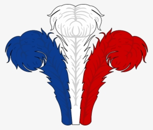 Red, Blue, White, Feathers - Rojo Azul Y Blanco