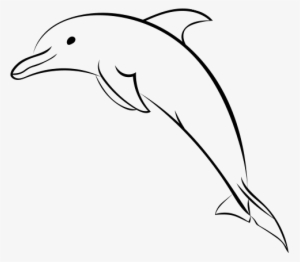 Png Freeuse Download Dolphin Picture At Getdrawings - Bottlenose Dolphin Drawing