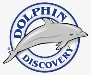 Dolphin Discovery Punta Cana Logo