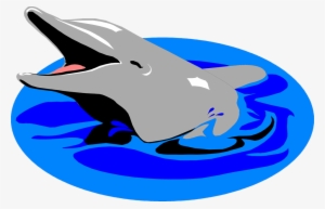 Graduation Clipart Dolphin - Dolphin In Water Clipart