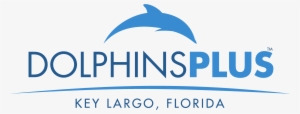 Dolphins Plus
