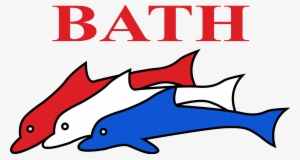 Logo - Start Dolphin Swimming Club