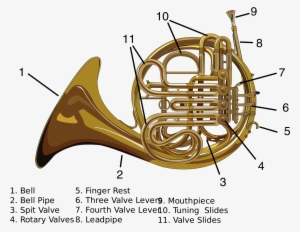 Open - Double French Horn Parts