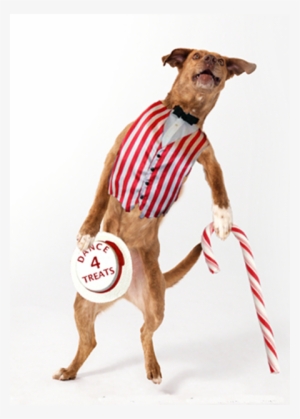 All Annoying Behaviors - Photography