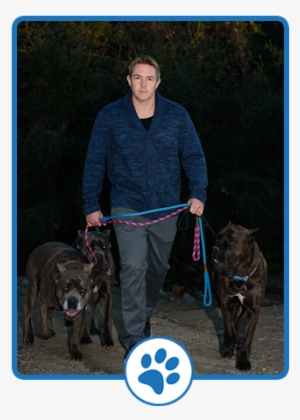 Devotion To Dogs Ben Davidson Aka “the Dog Translator” - Alpine Community Network