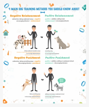 Dog Training School - School