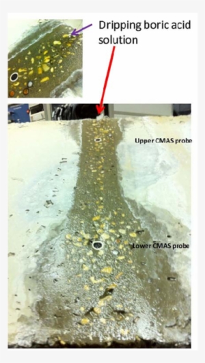 The Revised Experimental Procedure Dripped Borated - Tree