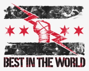 Wwe, Wrestling, And Cmpunk Image - Wwe Best In The World