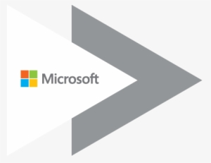 Microsoft Office Xp Small Business Edition Oem