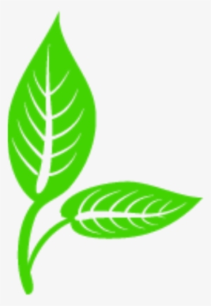 Hojas De Dibujos Animados Vector Clip Art Psd - Vector Graphics