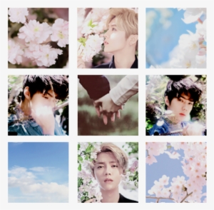 2 - Hunhan Aesthetic