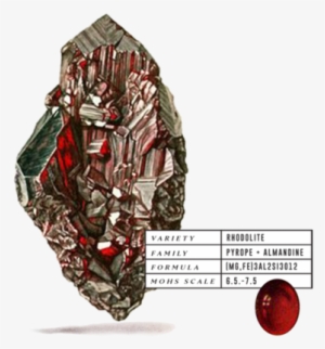 Many Moons Ago, The Native Tribes Of The Cayuga And - Mineral