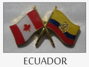 Crossed Flag Pins - Tailor