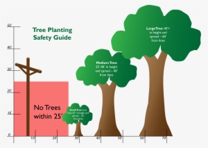 Safe Tree Planting - Safe Tree