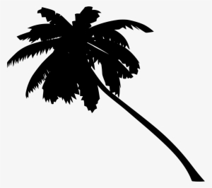 Download Png - Animated Palm Tree
