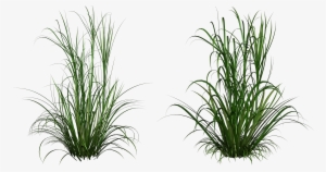 Clip Clip Art Transprent Png Free - Out Of Africa Mug