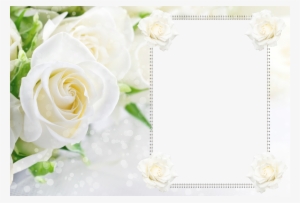 Rose Frame Png