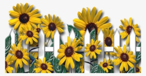 The Sunflower, Printable Paper, Flower Pots, Flowers, - Sunflower Happy Birthday Letter