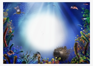 Od-45 - Aquarium