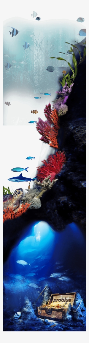 Underwater Treasure Full - Treasure Of Malaga Cove