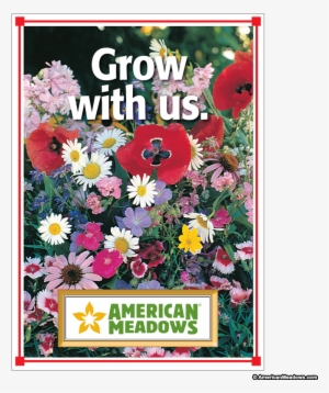 Grow With Us Full Size Seed Packet - Wildflowers Shady Mix Seed