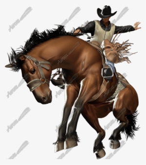 Add To Favorites Loading - Equitation