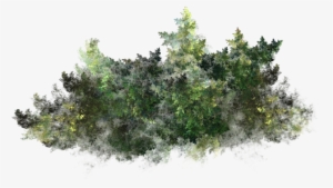 Pin The Underwater Plane Sir Richard Branson's “necker - Водоросли Пнг