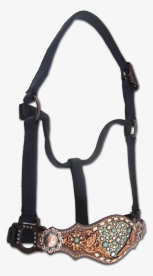 Horse Halter Davinci 627131255 500×901 Pixels - Halter