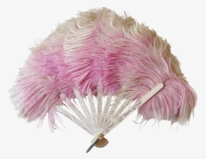 Feathered Arrow Png