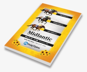 19 May - Graphic Design