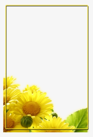 Pin By Marina Díaz On Fondos Para Presentaciones - Transparent Background Daisy Png Yellow