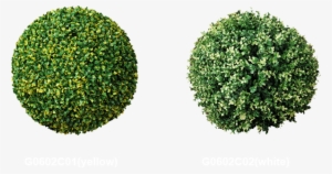 Topiary Trees Balls Factory - Ball Hedge