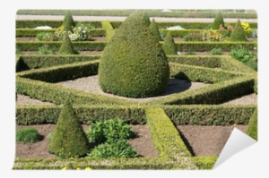Box Hedges - Hedge