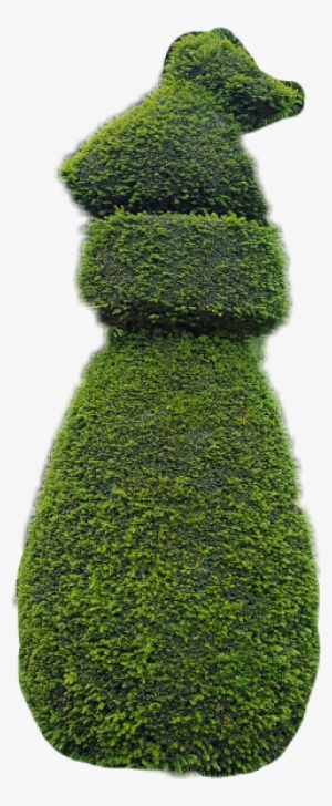 Arbre Freetoedit - Tree