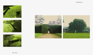 Paradise, Peacocks And Lilies, Perfume, Spectrum Of - God's Acre Beautiful