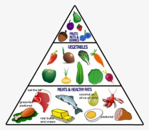 Paleo Food Pyramid Blog - Pescetarian Food Pyramid