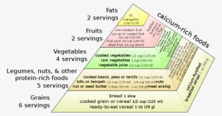Vegan Food Pyramid - American Dietetic Association Vegetarian Food Pyramid