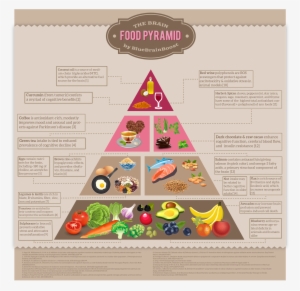 Brain Food Pyram - Brain Food Pyramid