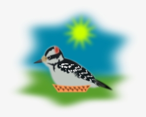 Sparrow, Pecker, Woodpecker, Bird - Woodpecker