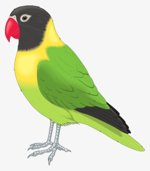 Free Clip Art Animals - Pet Bird Clipart