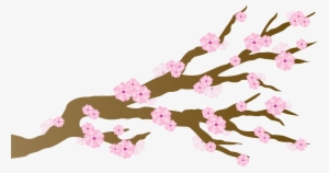 Pink Cherry Blossoms Japanese Draft Free Image Clipart - Cherry Blossom