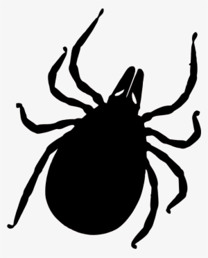 Tick Insect Png - Clip Art Mosquito And Tick