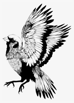 Captain Jack Sparrow - Sparrows Drawing