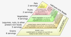 Open - Food Pyramid English And Spanish