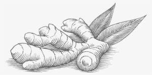 Ginger & Turmeric - Food