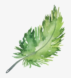 Png Element Material For Hand Painted Green Leaves - Feather