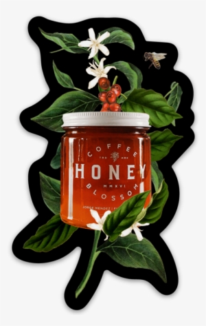 Blooming Honey Magnet