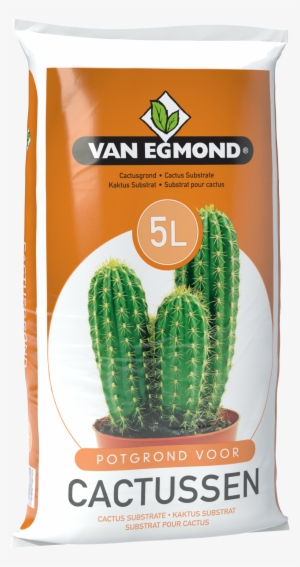 Interested - Prickly Pear