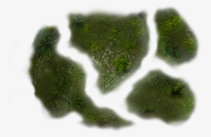 37 635k Swamp 6 Sc Dgw 06 Feb 2009 - Chlorophyta